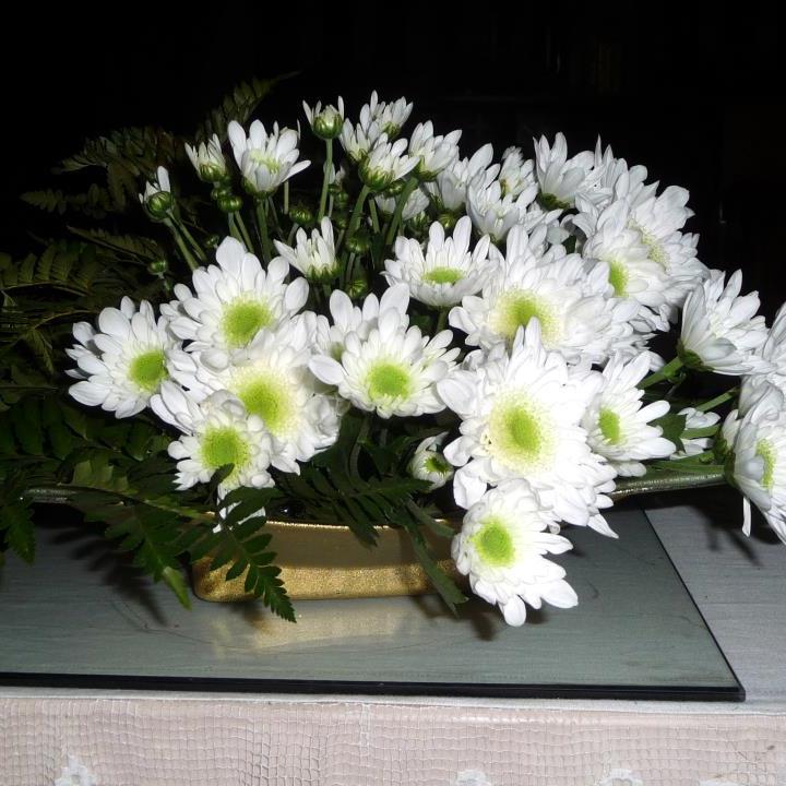 P1000157.JPG